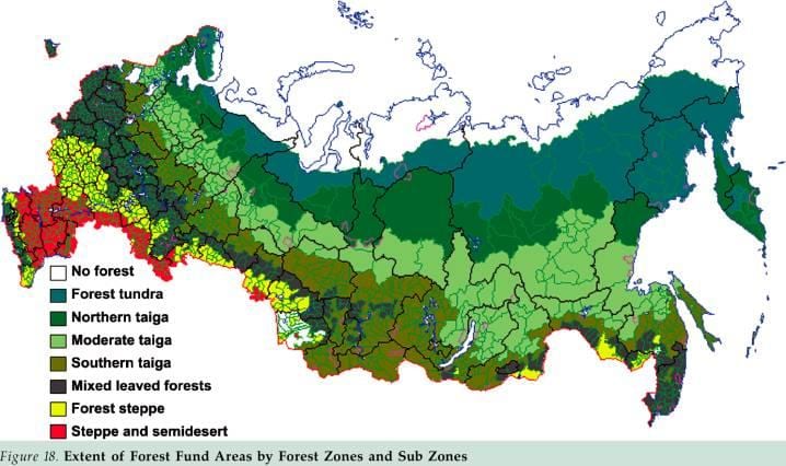 Russe de la forêt de la carte