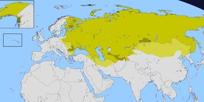 Carte de l'empire russe