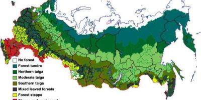 Russe de la forêt de la carte